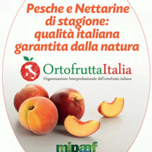 AL VIA LA CAMPAGNA DI PROMOZIONE E COMUNICAZIONE ISTITUZIONALE PER LE PESCHE E NETTARINE ITALIANE