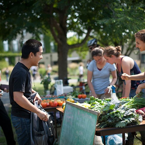 DI PISA SU FARMER’S MARKET: “SERVE REGOLAMENTAZIONE O CI SARANNO MOLTI PROBLEMI NELLA FILIERA”