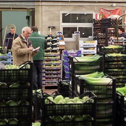 UDINE, PIATTAFORMA AGROALIMENTARE ALL’AVANGUARDIA