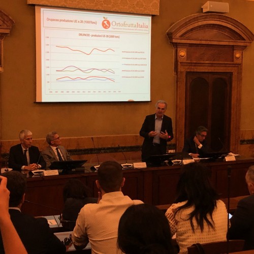 CONFERENZA STAMPA A FAVORE DEL CONSUMO DI PESCHE E NETTARINE