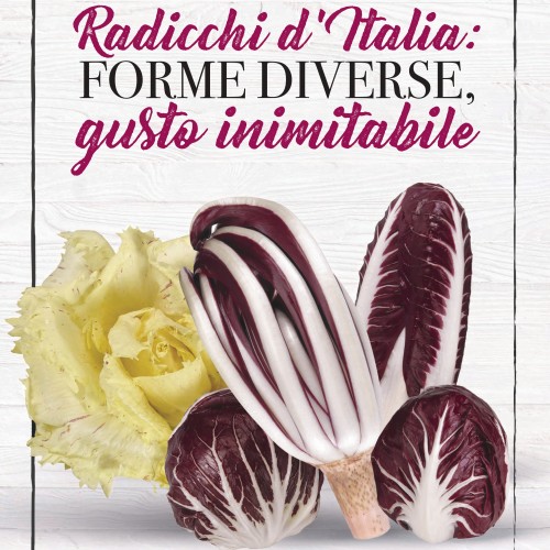 RADICCHI, AL VIA LA CAMPAGNA DI PROMOZIONE DI ORTOFRUTTA ITALIA