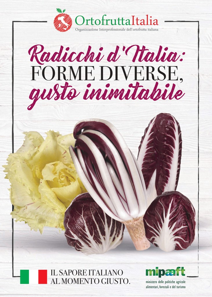 RADICCHIO 1 (FRONTERETRO)_2019_pages-to-jpg-0001