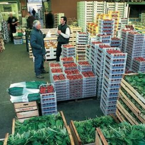 BERGAMO, LE SCUOLE VANNO ALLA SCOPERTA DELL’ORTOMERCATO