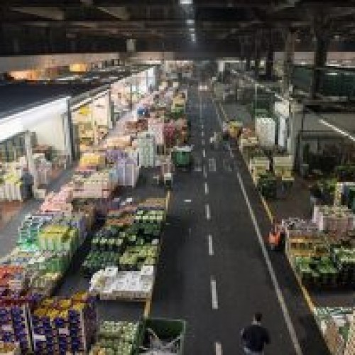 DAI MERCATI: VOLANO LE ZUCCHINE, TIEPIDA RIPRESA PER UVA E POMODORO