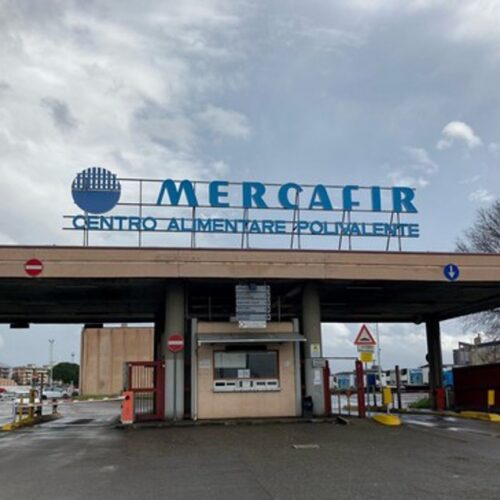RINNOVATO CDA DI FEDAGRO FIRENZE, BACCINI CONFERMATO ALLA PRESIDENZA